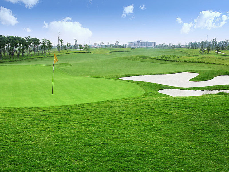 GOLF & PUTTING GRÜNEN RASEN